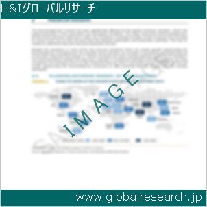 グローバルリサーチ調査レポートのイメージ